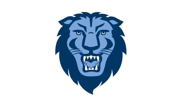 Lion Head Graphic